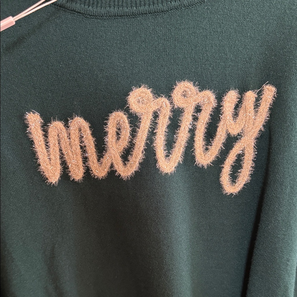 Zac & Rachel Deep Teal Crewneck Sweater with Fuzzy 'worry' Script - Picture 2 of 5